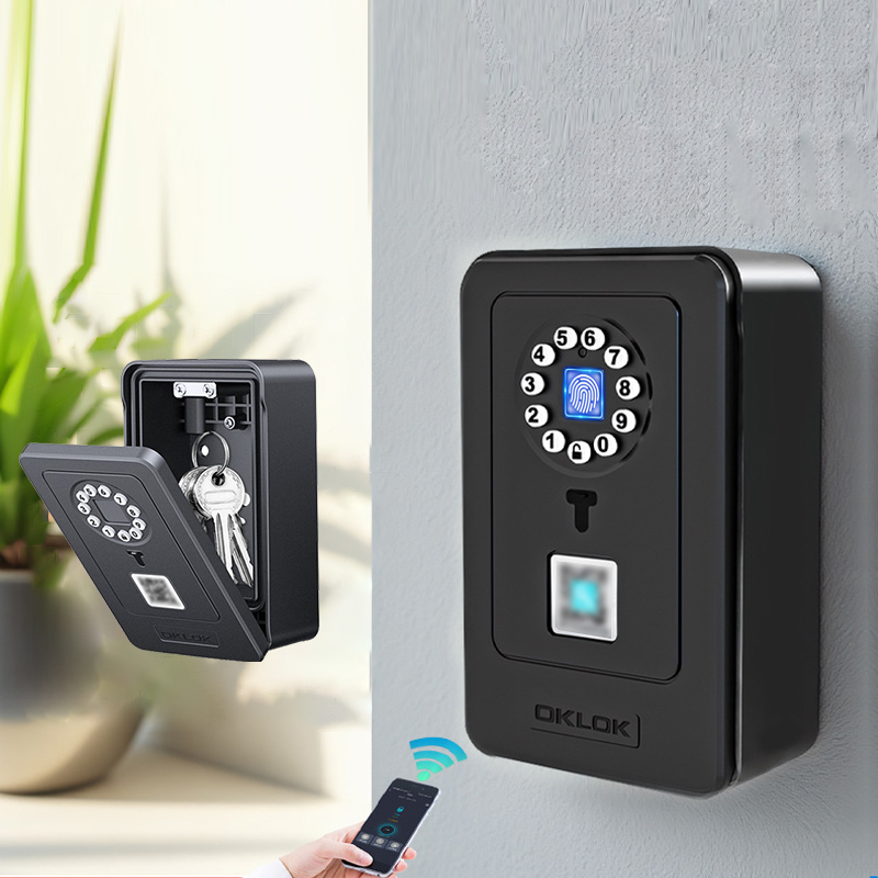 Smart Home Security - Inteligentna kłódka z funkcją przechowywania hasła,