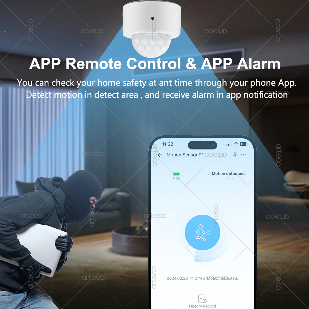 Ewelink Zigbee czujnik ruchu P – Smart Home Security recenzja i cena