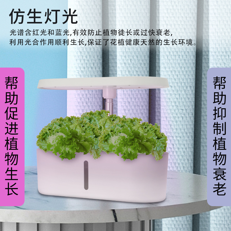 Inteligentny domowy hydroponic – Smart Home In Us recenzja i cena